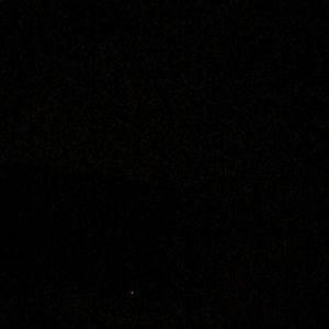 Meet your Posher, Dan